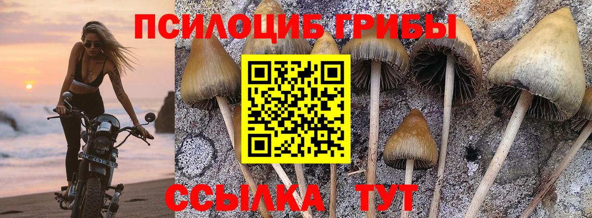 Анапа  Галлюциногенные грибы Magic Shrooms  Псилоцибиновые грибы мухоморы  Вход с VPN 